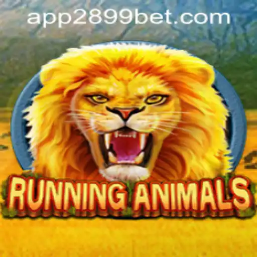 2899bet PH Login Casino App